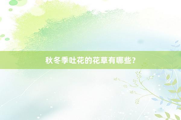 秋冬季吐花的花草有哪些？