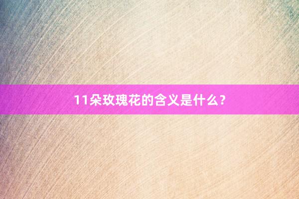 11朵玫瑰花的含义是什么？