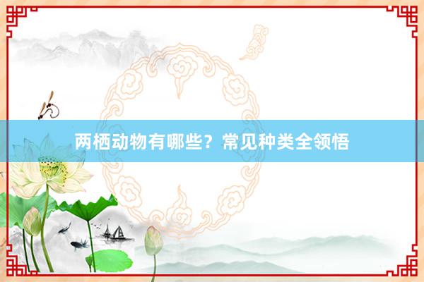 两栖动物有哪些?常见种类全领悟