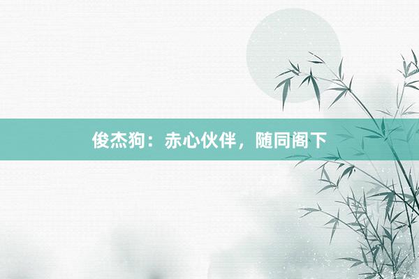 俊杰狗：赤心伙伴，随同阁下