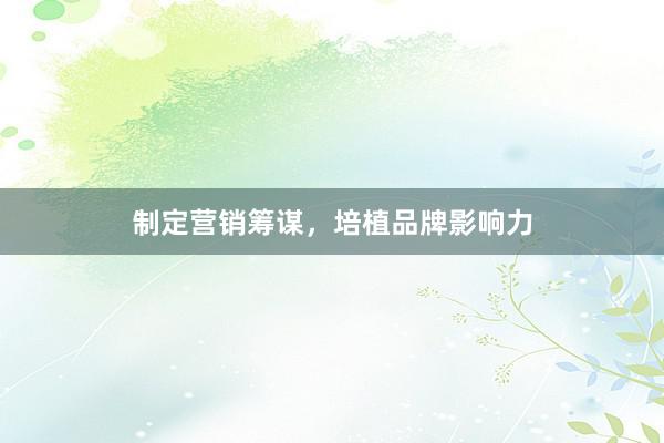 制定营销筹谋，培植品牌影响力